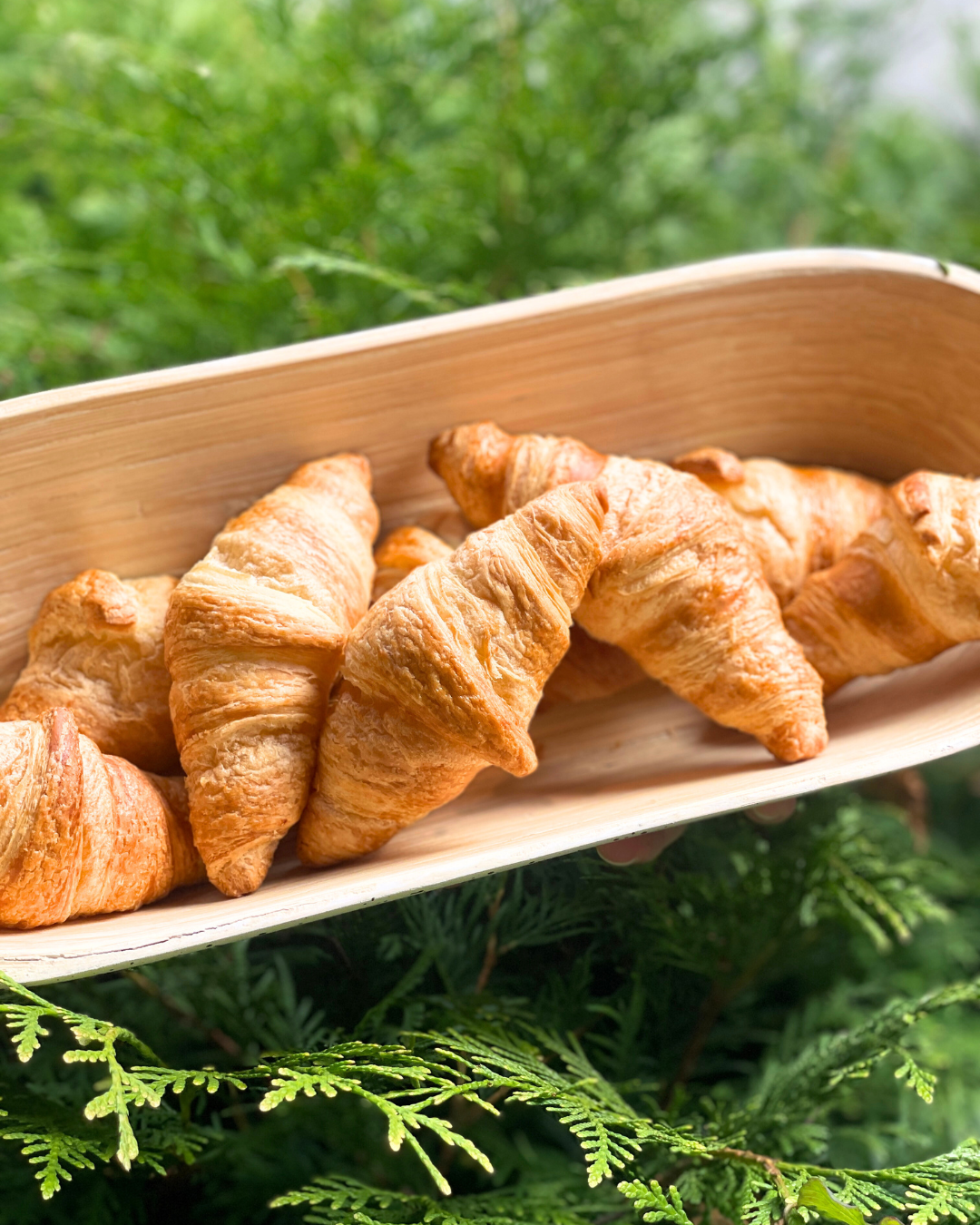 Pack of 8 croissant bites