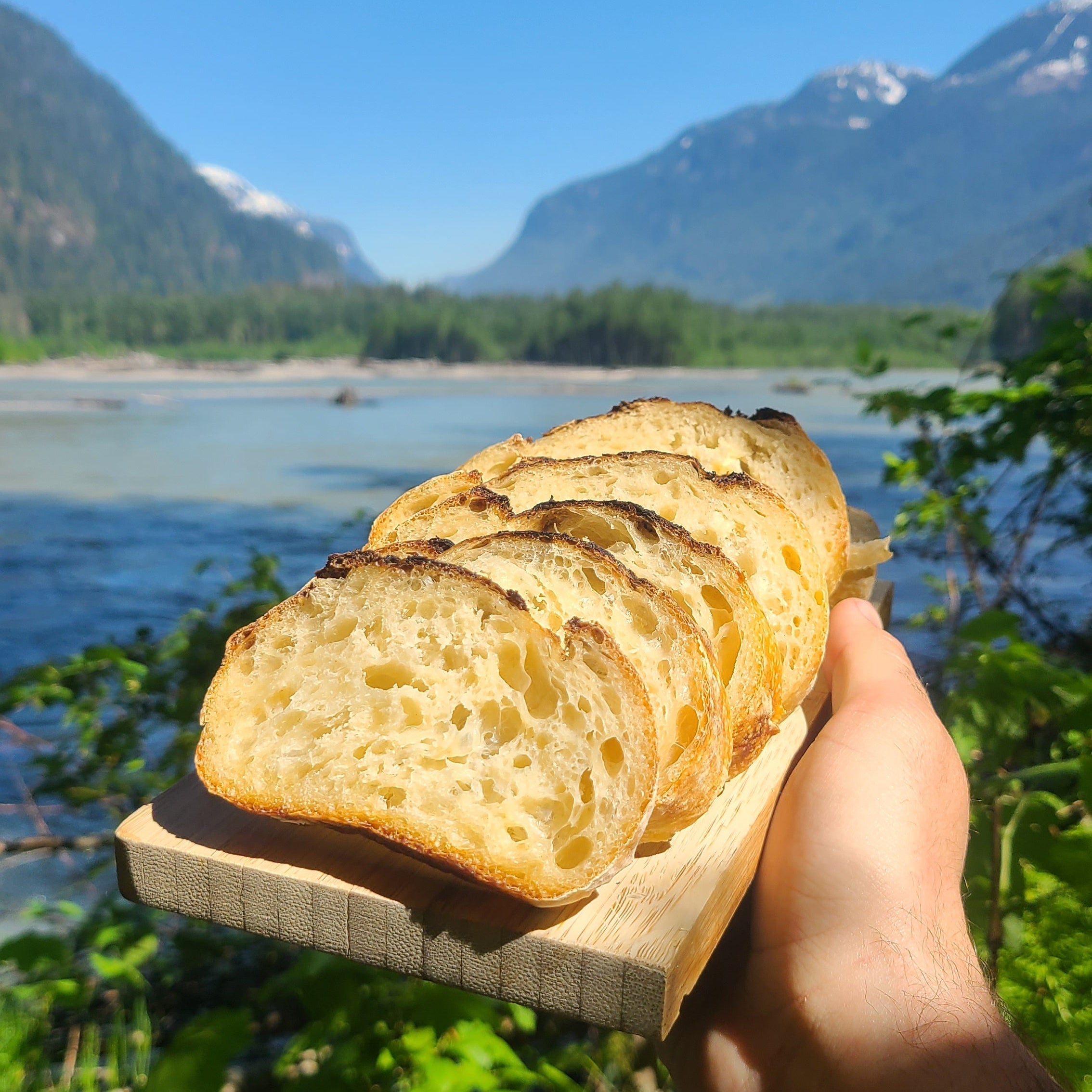 How to Bake a Perfect Sourdough Loaf at Home (Without Making the Starter Yourself)