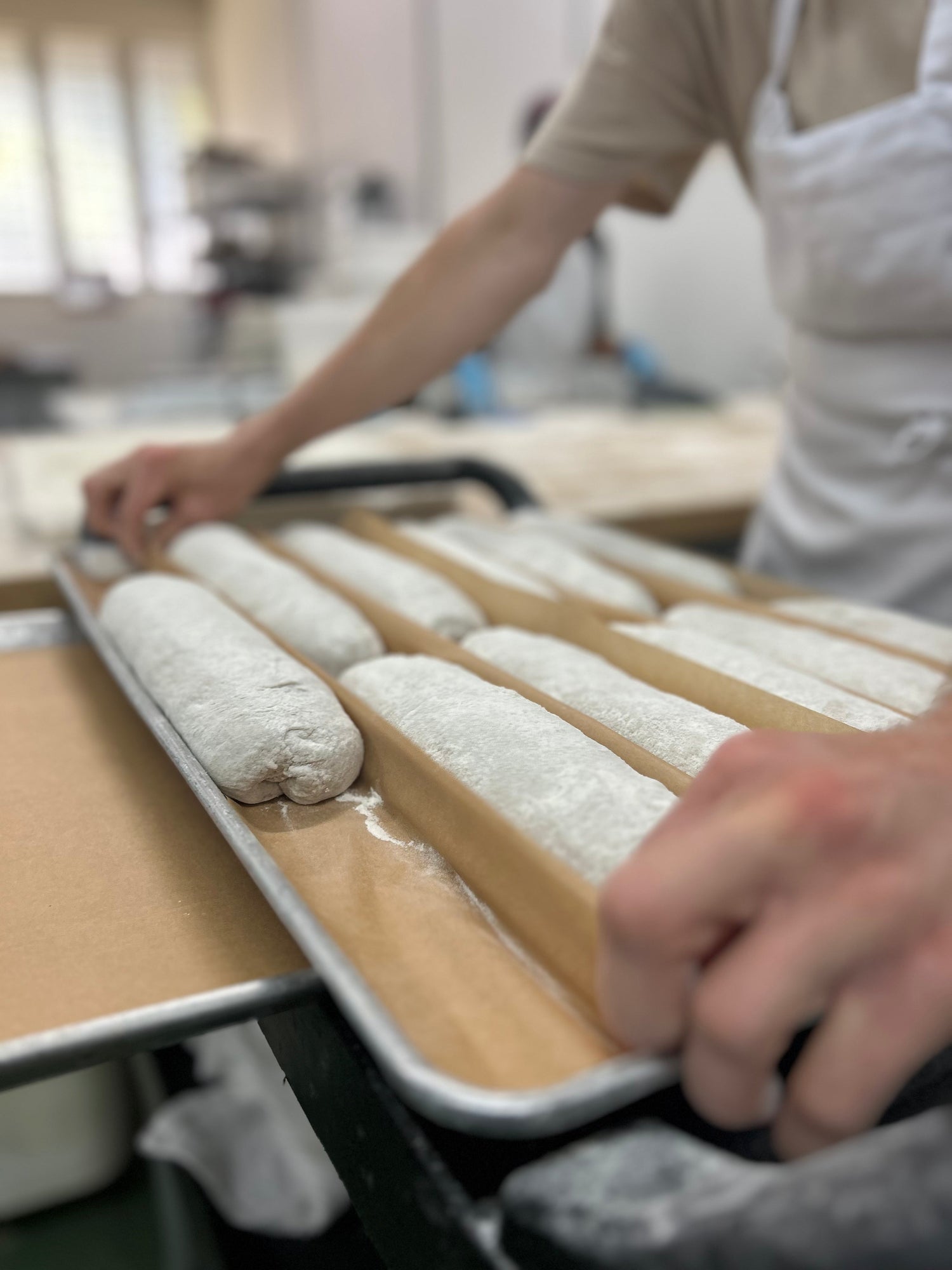 Ce qui se passe réellement quand le levain fermente (la science est plus intéressante que vous ne le pensez)