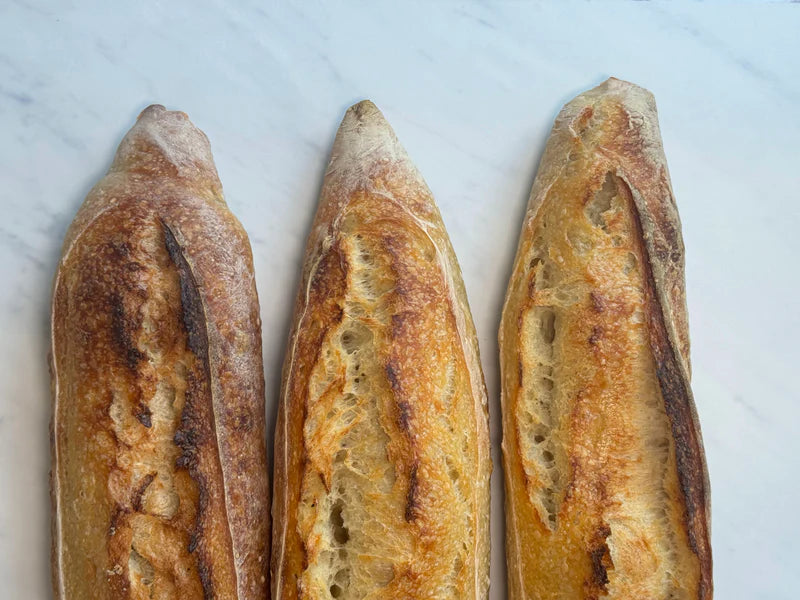 Don't Waste Bread Ever Again: Embracing the Art of Preservation