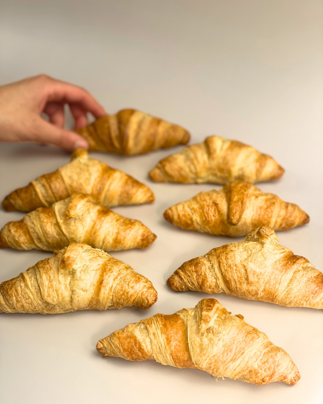 Pack of 8 croissant bites